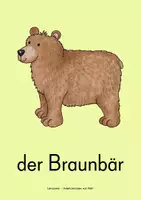 Vorschau - Bildkarten - Bildkarten Set (In der Natur - Hunde) - Seite 2