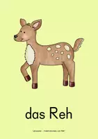 Vorschau - Bildkarten - Bildkarten Set (In der Natur - Hunde) - Seite 3