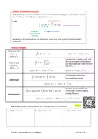 Vorschau - Stundenentwürfe - Großes Skript der Integralrechnung - Grundlagen (mit Lösungen & PowerPoint) - Seite 3