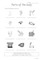 Vorschau - Arbeitsblätter - Freebie - worksheet - parts of the body vocabulary - Seite 1