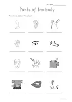 Vorschau - Arbeitsblätter - Freebie - worksheet - parts of the body vocabulary - Seite 2