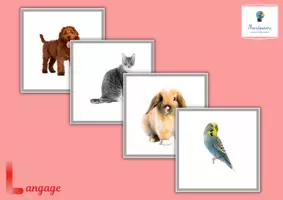 Aperçu - Cartes / Images - Images classifiées : animaux domestiques - Page de couverture