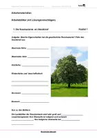 Vorschau - Arbeitsblätter - Kastanienbaum - Arbeitsblätter mit Lösungen - Deckblatt