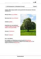 Vorschau - Arbeitsblätter - Kastanienbaum - Arbeitsblätter mit Lösungen - Seite 1