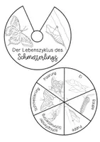 Vorschau - Arbeitsblätter - Vom Ei zum Schmetterling - Drehrad Bastel-Vorlage - Seite 1