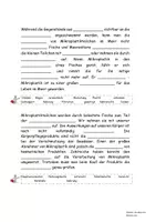 Vorschau - Arbeitsblätter - AES, Klasse 10 Lernjournal_Mikroplastik - Seite 1