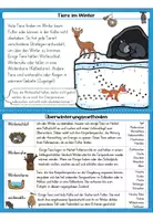 Vorschau - Arbeitsblätter - Tiere im Winter | Wissenskartei | Überwinterungsformen - Seite 1