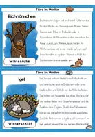 Vorschau - Arbeitsblätter - Tiere im Winter | Wissenskartei | Überwinterungsformen - Seite 2