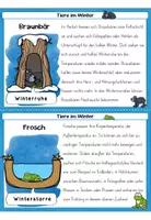 Vorschau - Arbeitsblätter - Tiere im Winter | Wissenskartei | Überwinterungsformen - Seite 3