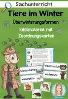 Vorschau - Arbeitsblätter - Tiere im Winter | Überwinterungsformen | Tafelmaterial - Deckblatt