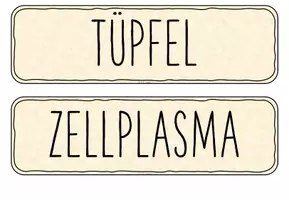 Vorschau - Präsentationen/Tafelbilder - Tafelkarten: Pflanzenzelle (Bestandteile und Funktionen) - Seite 3