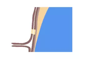 Vorschau - Präsentationen/Tafelbilder - Tafelbild/Tafelkarte: Pflanzenzelle - Seite 2