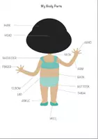 Aperçu - Tests - Anglais: My body parts worksheets - Page 2