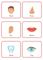 Vorschau - Arbeitsblätter - English: BODY PARTS Flashcards / Englisch: KÖRPERTEILE Karteikarten - Seite 1