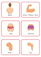 Vorschau - Arbeitsblätter - English: BODY PARTS Flashcards / Englisch: KÖRPERTEILE Karteikarten - Seite 3