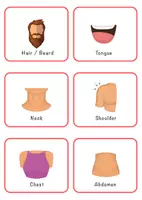 Vista previa - Tarjetas / Manipulativos - English: BODY PARTS Flashcards / Inglés: PARTES DEL CUERPO Flashcards - página 2