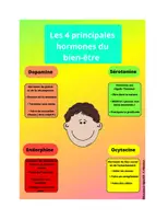 Aperçu - Fiches - Les 4 principales hormones du bien être - Page de couverture