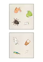 Vorschau - Spiele - Picture Twins "Pets" - Spiel - Seite 1
