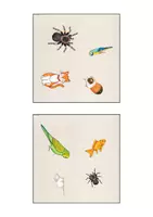 Vorschau - Spiele - Picture Twins "Pets" - Spiel - Seite 3