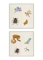 Vorschau - Spiele - Picture Twins "Wild Animals" - Spiel - Seite 2