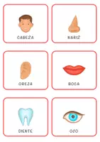 Vista previa - Hojas de trabajo - Flashcards de las partes del cuerpo en español - página 1