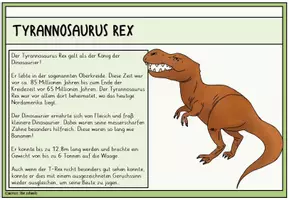 Vorschau - Anderer Materialtyp - Dinosaurier: Infokarten - Seite 2
