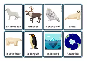 Aperçu - Jeux - Winter flashcards - 38 mots - The British Fox - Page 1