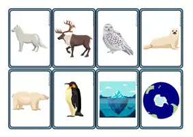 Aperçu - Jeux - Winter flashcards - 38 mots - The British Fox - Page 2