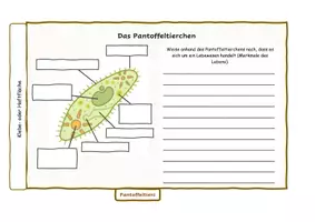 Vorschau - Arbeitsblätter - Flipbook - Einzeller XL - Seite 3