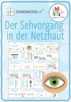 Vorschau - Arbeitsblätter - MEGA-SPARPAKET: Nervensystem & Reizübertragung – 35x Spiele und Aktivitäten - Seite 1