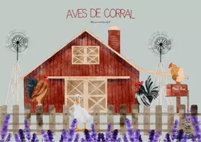 Vista previa - Unidades / Secuencias / Situaciones de Aprendizaje - Las aves de corral: lectura, escritura e investigación. - Portada