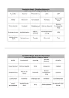 Vorschau - Spiele - Geschichte-Bingo: Deutsches Kaiserreich - Seite 3