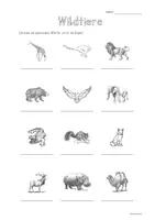 Vorschau - Arbeitsblätter - Freebie - DaZ - Arbeitsblatt - Wortschatz Wildtiere - Seite 2