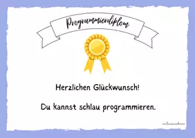 Vorschau - Anderer Materialtyp - Programmiererdiplom - Seite 1
