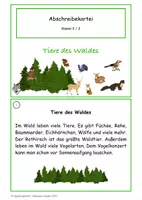 Vorschau - Unterrichtsreihen - Abschreibekartei Tiere des Waldes Kl. 2/3 - Seite 2
