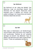 Vorschau - Unterrichtsreihen - Abschreibekartei Tiere des Waldes Kl. 2/3 - Seite 3