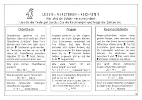 Vorschau - Arbeitsblätter - Lesen - Verstehen - Rechnen (Teil 2) - Seite 3
