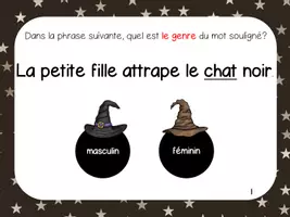 Aperçu - Feuilles d'exercices - Jeu interactif sur le genre et le nombre version sorcier - Page 1