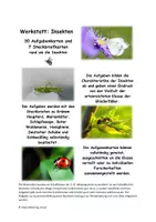Vorschau - Arbeitsblätter - Werkstatt: Insekten mit Aufgaben- und Steckbriefkarten - Deckblatt