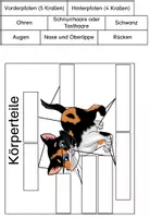 Vorschau - Stationenlernen - Lapbook zur Katze - Seite 1