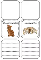 Vorschau - Stationenlernen - Lapbook zur Katze - Seite 2