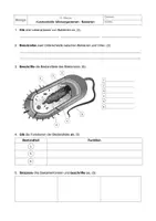 Vorschau - Arbeitsblätter - Kurzkontrolle Infektionskrankheiten Bakterien Klasse 9 Bio - Deckblatt