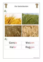 Vorschau - Unterrichtsreihen - Der Bauernhof: Getreide säen und ernten - Seite 3