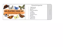 Vorschau - Mal- und Bastelvorlagen - Schmetterlingsarten Leporello (Teil 1) - Seite 2
