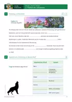 Vorschau - Arbeitsblätter - Vielfalt der Lebewesen (interaktiv) - Seite 3