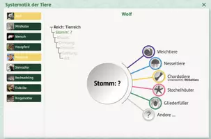 Vorschau - Arbeitsblätter - Vielfalt der Lebewesen (interaktiv) - Seite 2