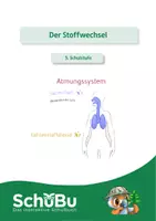 Vorschau - Spiele - Materialpaket Biologie 5. Schulstufe - Seite 1