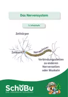 Vorschau - Spiele - Das Nervensystem (interaktiv) - Deckblatt