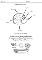 Vorschau - Arbeitsblätter - Der Igel - Mein Forscherheft - Seite 1