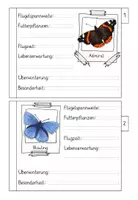 Vorschau - Aufgabenkarten - Schmetterlingsarten (Teil 1) - Steckbriefe - Seite 3
